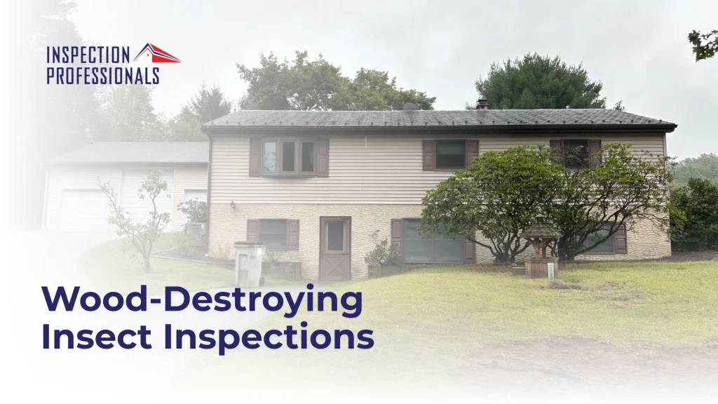 Termite Inspection PA | Wood Destroying Insect Inspection