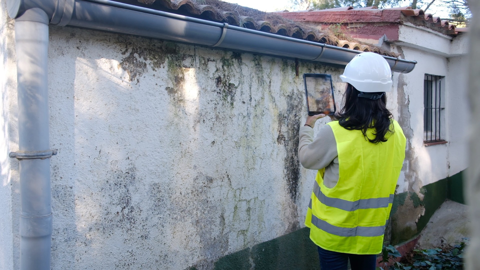 Building inspector documenting exterior wall moisture and condition during a property assessment.