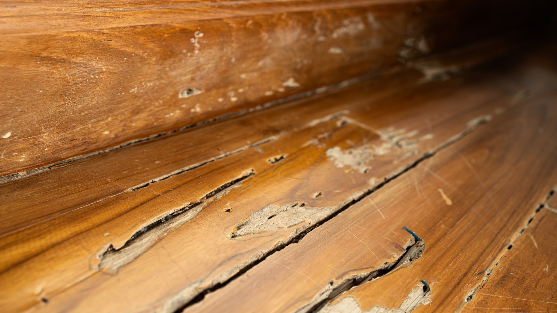 Close-up of termite-damaged wood flooring found during a home inspection.