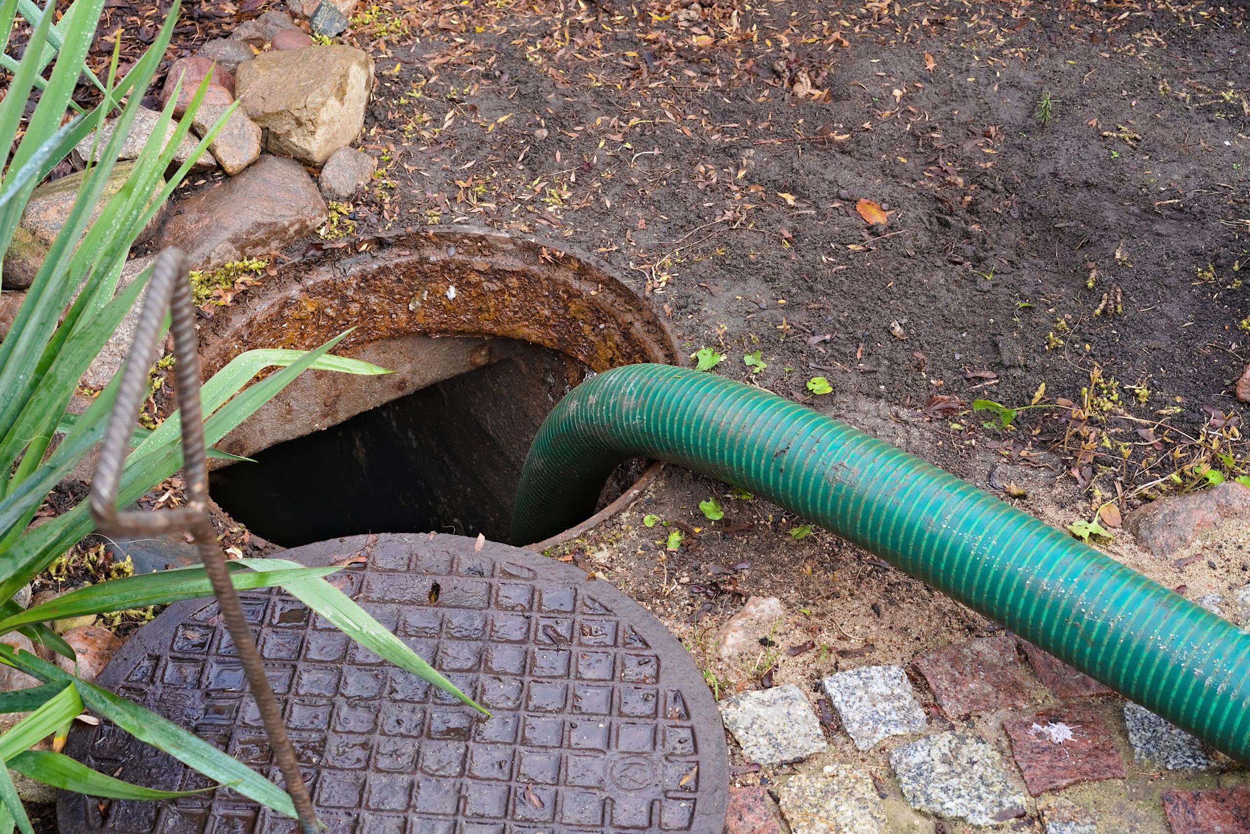 Open septic tank access lid in a residential back garden with a pump hose running into the tank