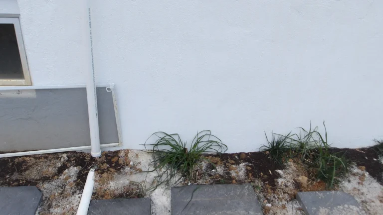 White pipe running down a white foundation wall beside a low window, with a second white pipe on the ground near gray paving stones and clumps of grass